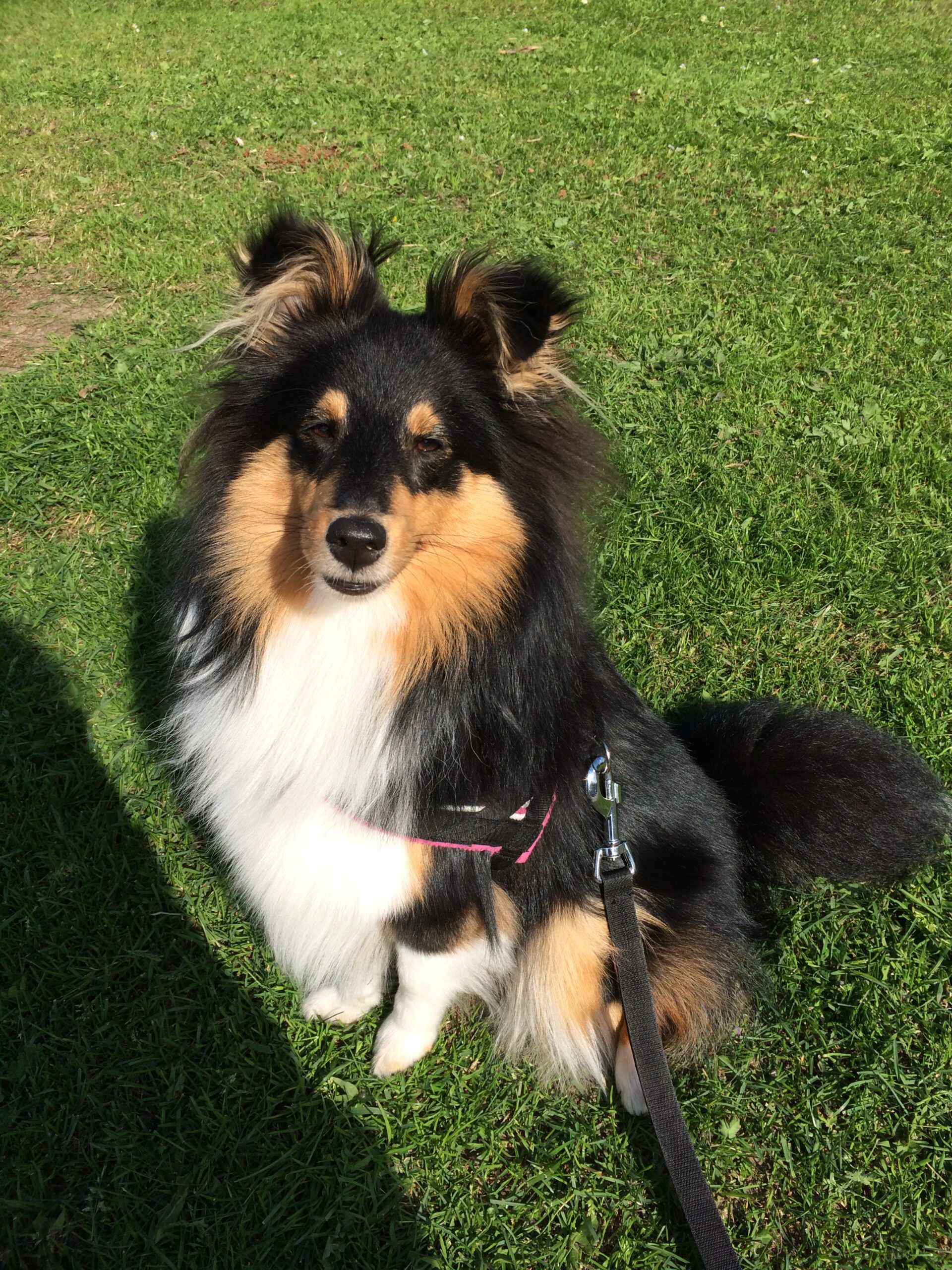 Stil zijn? Dacht het niet!