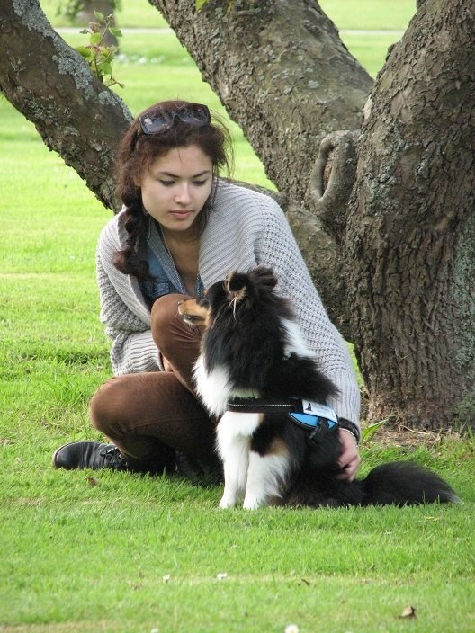 Verlichting van strijd