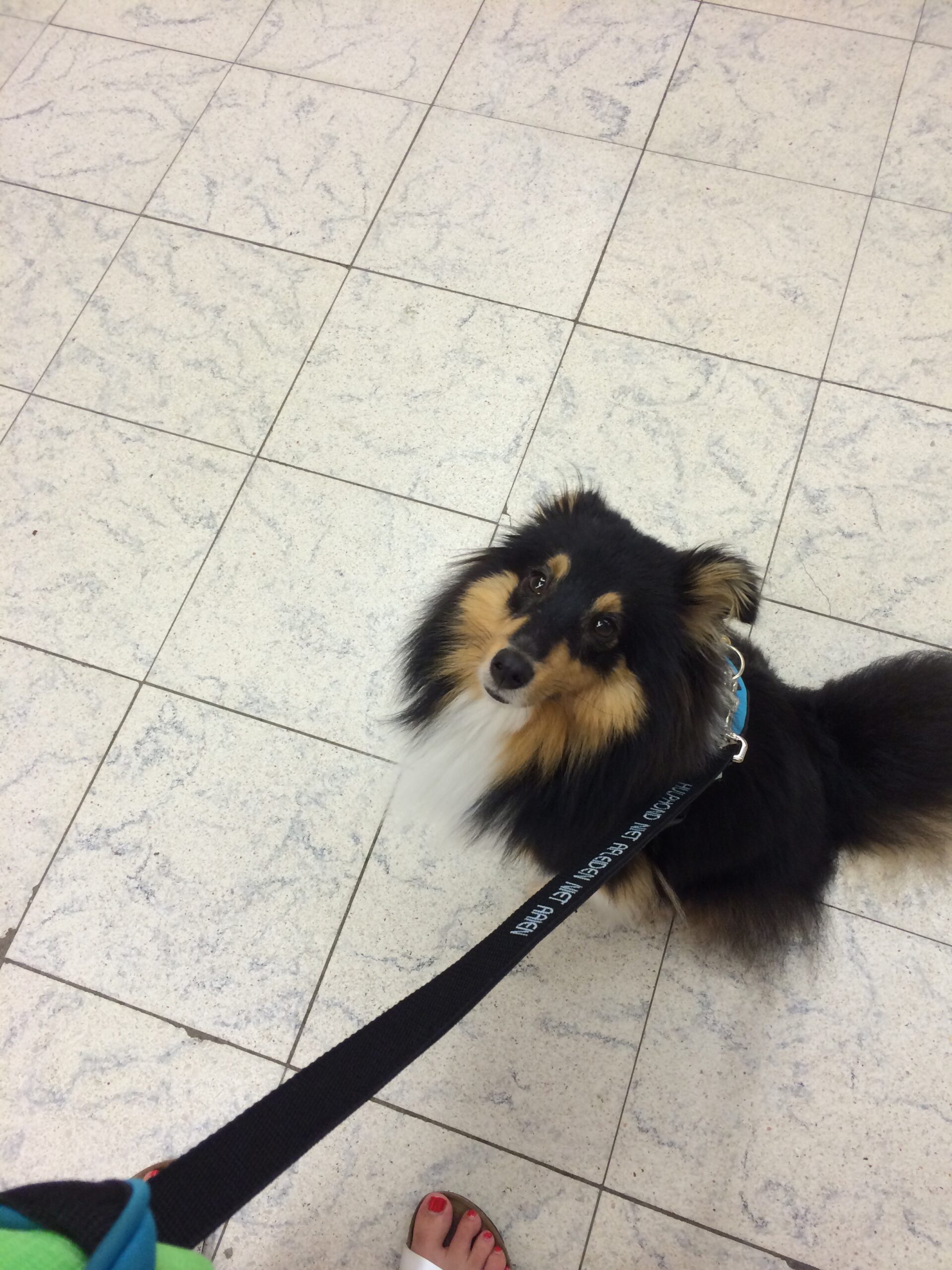 Even boodschappen doen