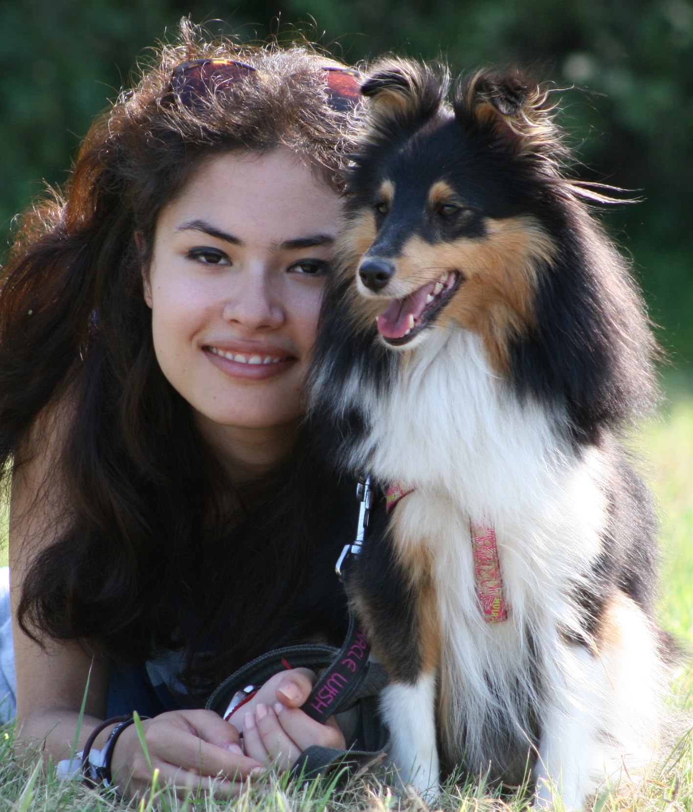 Volgen en vertrouwen